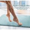 Moss & Stone 2 Pcs Bath Mat Set Light Gray, Soft and Comfortable Bathroom Rug + Shower Mat Non Slip, Bathtub Mat with Suction Cups, Water Absorbent Grey Bath Mat.(Light Blue)