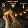 Moss & Stone Solar Outdoor String Lights 25 Ft with 15 Edison Bulbs, Outdoor Lights for Patio LED Bulb G40 Warm White Light, Waterproof for Christmas Party, Garden Porch Deck, USB Charging,