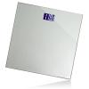 Silver Digital Scale